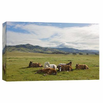 PTM Images 10 in. X 12 in. ''Resting Horses, San Simeon'' Printed Canvas Wall Art, Multicolored