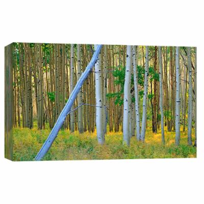PTM Images 10 in. X 12 in. ''Aspen 2'' Printed Canvas Wall Art, Multicolored