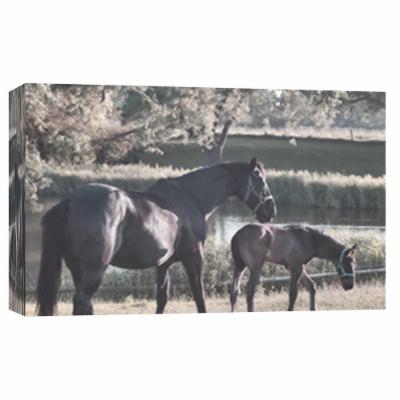 PTM Images 10 in. X 12 in. ''Schagen Set'' Printed Canvas Wall Art, Multicolored