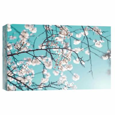 PTM Images 10 in. X 12 in. ''Don't Worry Be Happy'' Printed Canvas Wall Art, Multicolored