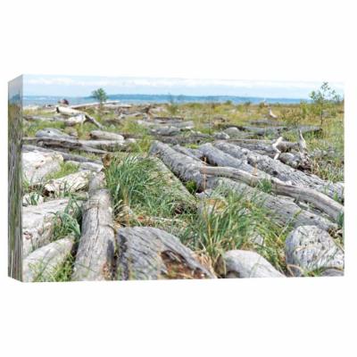 PTM Images 10 in. X 12 in. ''True Division'' Printed Canvas Wall Art, Multicolored