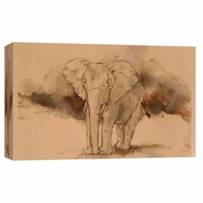 PTM Images 10 in. X 12 in. ''an Elephant Angle'' Printed Canvas Wall Art, Multicolored