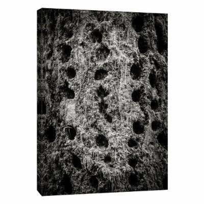 PTM Images 12 in. X 10 in. ''Lowland Winter Forest No 12, Tiger Mountain'' Printed Canvas Wall Art, Multicolored