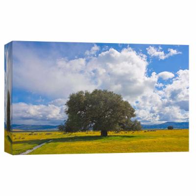 PTM Images 10 in. X 12 in. ''High Desert Spring 3'' Printed Canvas Wall Art, Multicolored