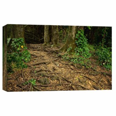PTM Images 10 in. X 12 in. ''Path and Tree Roots at Rainbow Falls'' Printed Canvas Wall Art, Multicolored
