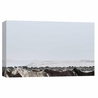 PTM Images 10 in. X 12 in. ''Horse Fort Ranch 12'' Printed Canvas Wall Art, Multicolored