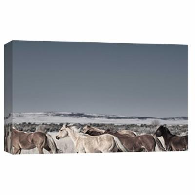 PTM Images 10 in. X 12 in. ''Horse Fort Ranch 11'' Printed Canvas Wall Art, Multicolored