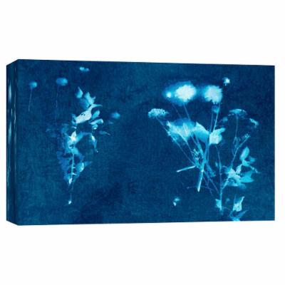 PTM Images 10 in. X 12 in. ''Cyanotype Plant 6'' Printed Canvas Wall Art, Multicolored