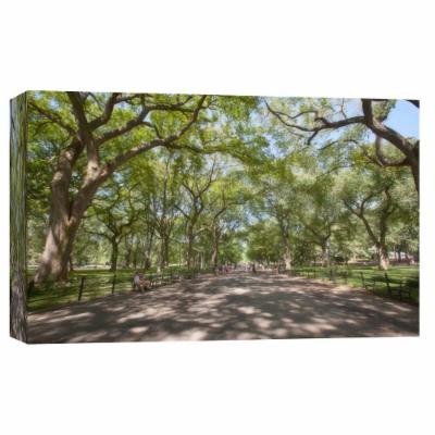 PTM Images 10 in. X 12 in. ''Central Park 2'' Printed Canvas Wall Art, Multicolored