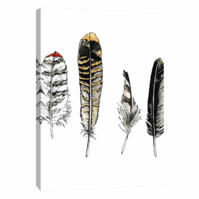 PTM Images 12 in. X 10 in. ''Curiosity Collectables No.1'' Printed Canvas Wall Art, Multicolored