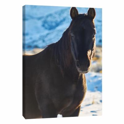 PTM Images 12 in. X 10 in. ''Horse Fort Ranch 7'' Printed Canvas Wall Art, Multicolored