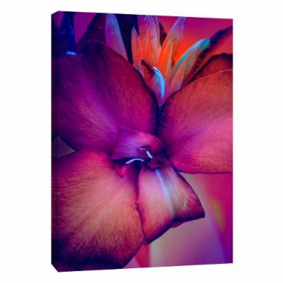 PTM Images 12 in. X 10 in. ''Unconditional Love'' Printed Canvas Wall Art, Multicolored