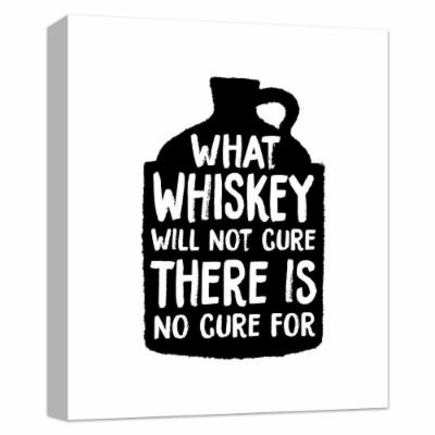 PTM Images 10 in. X 12 in. ''What Whiskey Cannot Cure, There Is No Cure for'' Canvas Wall Art, Multicolored