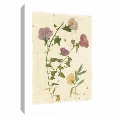 PTM Images 12 in. X 10 in. ''Pressed Morning Glory'' Canvas Wall Art, Multicolored