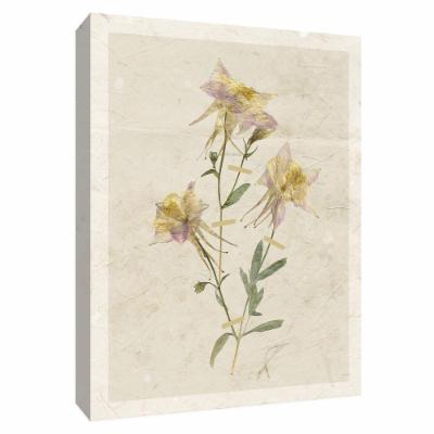 PTM Images 12 in. X 10 in. ''Pressed Columbine I'' by Canvas Wall Art, Multicolored