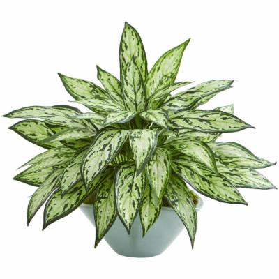Nearly Natural Indoor Silver Queen Artificial Plant in Green Vase