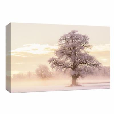 PTM Images 10 in. X 12 in. ''Winter Glow'' by Canvas Wall Art, Multicolored