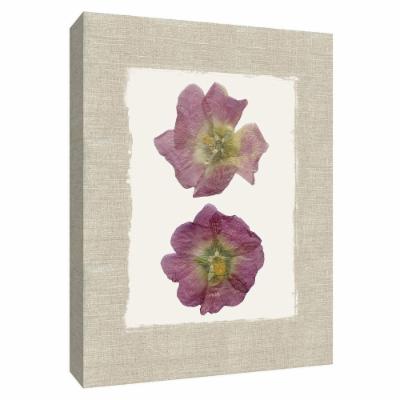 PTM Images 12 in. X 10 in. ''Pressed Duo Hollyhocks II'' by Canvas Wall Art, Multicolored