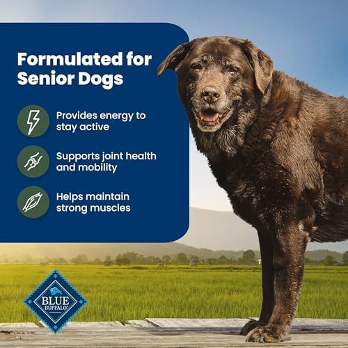 Blue Buffalo Life Protection Formula with LifeSource Bits, Senior 7+ Dry Dog Food, Lamb and Brown Rice Recipe, Natural Food for Dogs, 15 Lb. Bag thumbnail