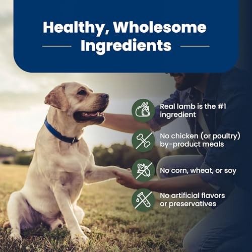 Blue Buffalo Life Protection Formula with LifeSource Bits, Senior 7+ Dry Dog Food, Lamb and Brown Rice Recipe, Natural Food for Dogs, 15 Lb. Bag thumbnail