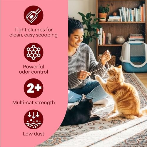 Fresh Step Extreme Clump Multi Cat Clumping Litter with Febreze Freshness  22 Lb thumbnail