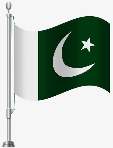 Empty PEPSI ZERO Cola Soda Tall 250ml Can PAKISTAN 2024 Collect Black Asia PK thumbnail