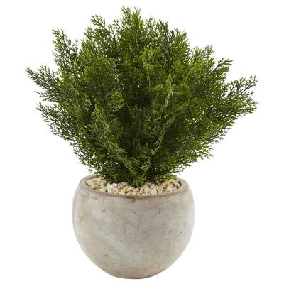 Nearly Natural Indoor Cedar Artificial Plant in Sand Colored Bowl thumbnail