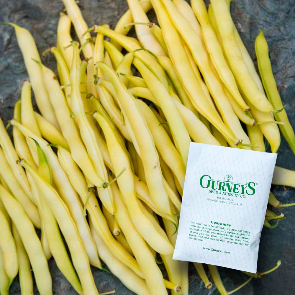 Gurney's Bush Bean Improved Golden Wax (2 Oz. Packet)