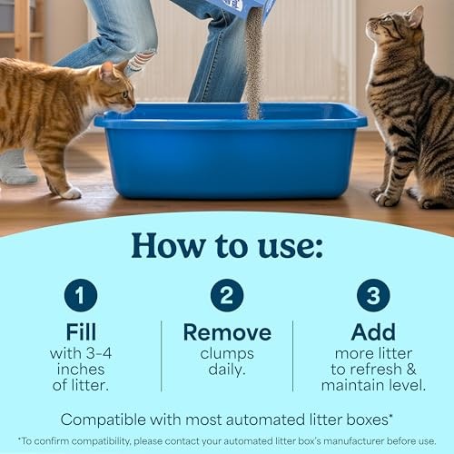 Fresh Step Odor Shield Multi Cat Clumping Litter with Febreze Freshness  22 Lb thumbnail