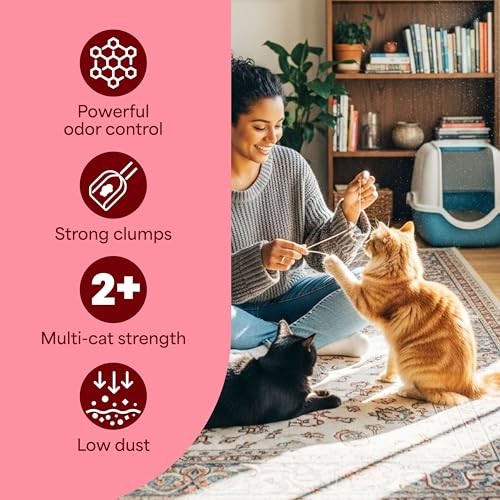 Fresh Step Odor Shield Multi Cat Clumping Litter with Febreze Freshness  22 Lb thumbnail