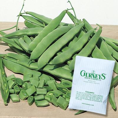 Gurney's Bush Bean Roma II (2 Oz. Seed Packet) thumbnail