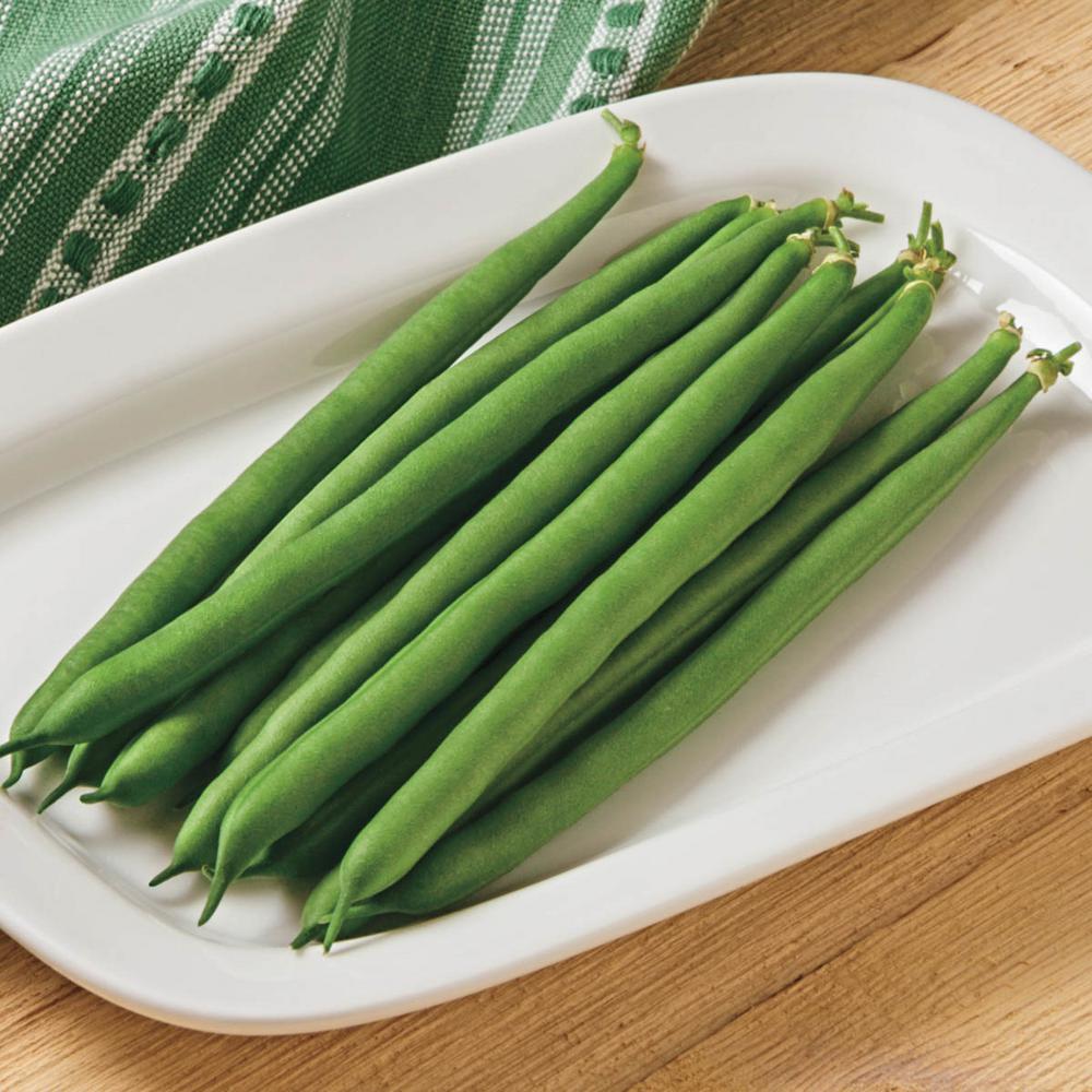 Gurney's Bush Bean Jade II (2 Oz. Seed Packet)