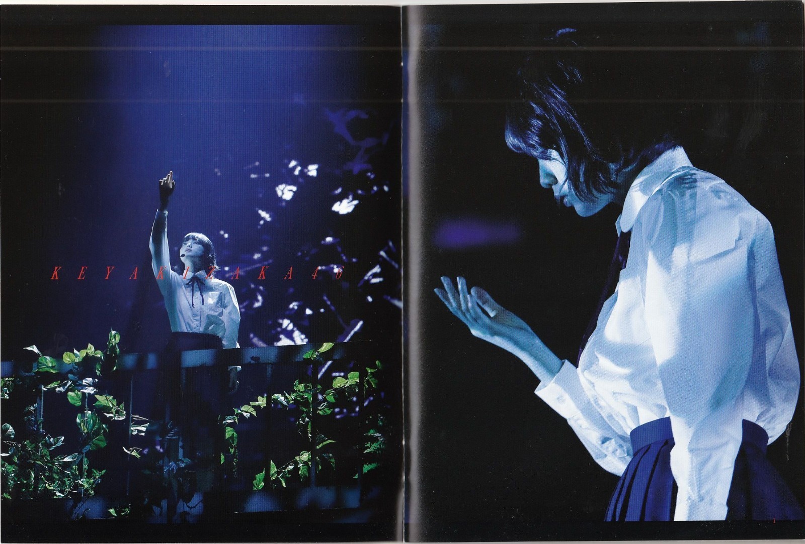 Keyakizaka46 Live Concert Blu-ray 2Disc/ Tokyo Dome/ Yurina Hirate, Ten Yamasaki thumbnail