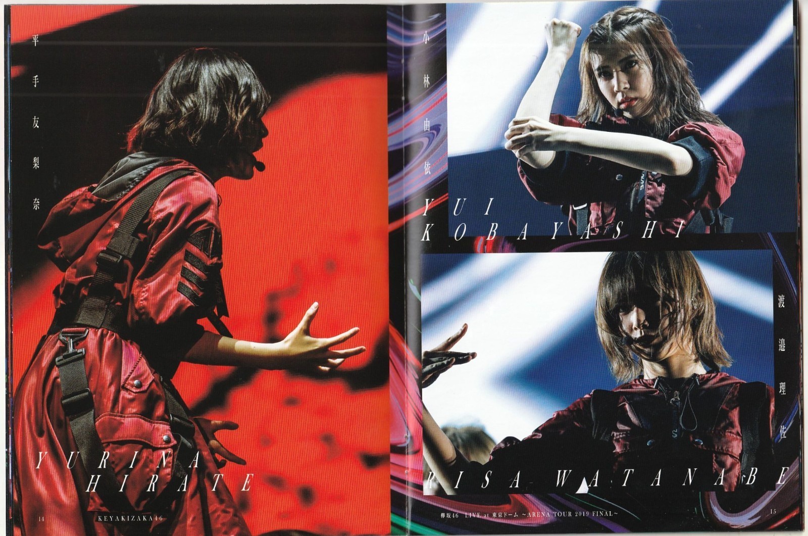 Keyakizaka46 Live Concert Blu-ray 2Disc/ Tokyo Dome/ Yurina Hirate, Ten Yamasaki thumbnail