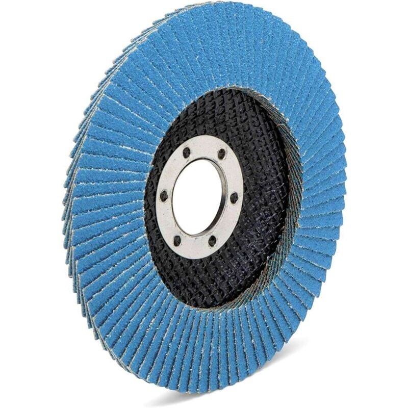 Ensemble De 10 Compartiments Disques Abrasifs En Inox De 125 Mm, Grain 100, Couleur Bleu - La Solution Parfaite En Disques À Lamelles Pour Un Polissa thumbnail
