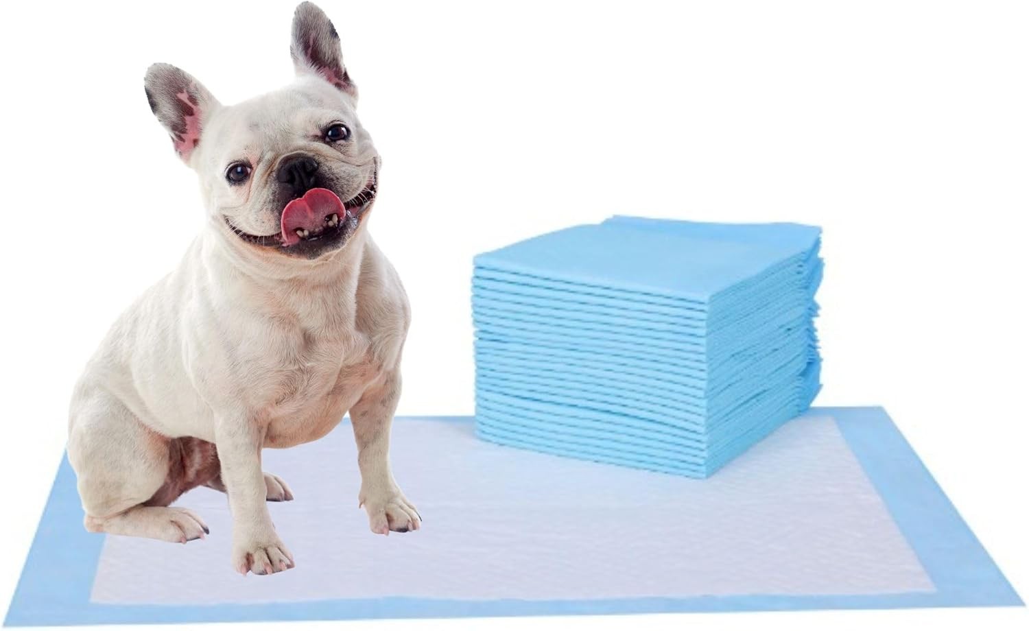 Coussinets D'Apprentissage De La Propreté Économiques Bleus (33 Cm X 45 Cm) Pour Chiots, Anti-pipi, Super Absorbants Et À Séchage Rapide, 100 Unit thumbnail