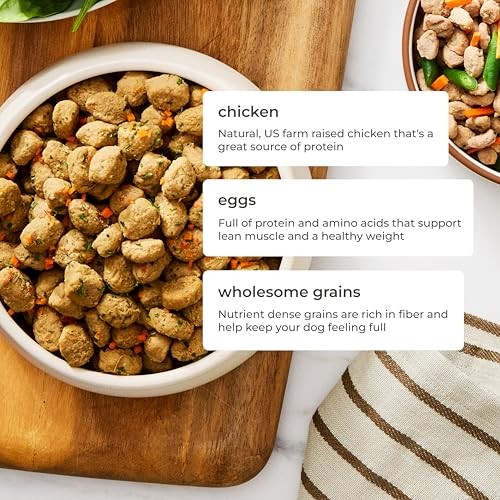 Freshpet Fresh Dog Food, Freshly Roasted Meals, Complete Nutrition Chicken Recipe, 1 Lb thumbnail