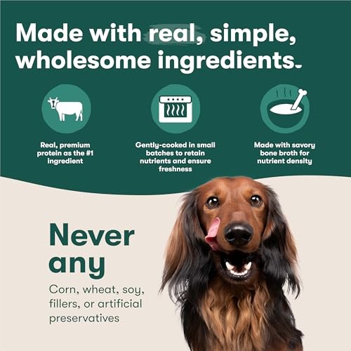 Jinx Beef & Chicken Grain Free Wet Dog Food Pouches, Meal or Dog Food Topper Mix-in, Made with Real Beef & Chicken, Bone Broth, No Fillers - Puppy, Ad thumbnail