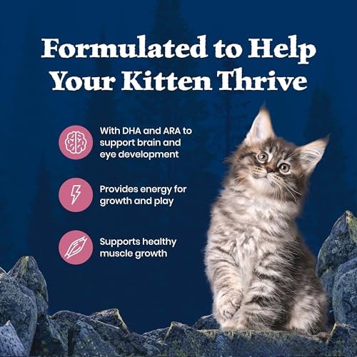 Blue Buffalo Wilderness High-Protein & Grain-Free Dry Food for Kittens, Natural Ingredients with DHA for Cognitive Development, Salmon Recipe, 5lb Bag thumbnail
