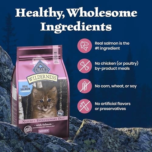Blue Buffalo Wilderness High-Protein & Grain-Free Dry Food for Kittens, Natural Ingredients with DHA for Cognitive Development, Salmon Recipe, 5lb Bag thumbnail