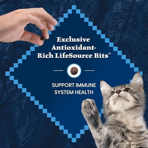 Blue Buffalo Wilderness High-Protein & Grain-Free Dry Food for Kittens, Natural Ingredients with DHA for Cognitive Development, Salmon Recipe, 5lb Bag thumbnail
