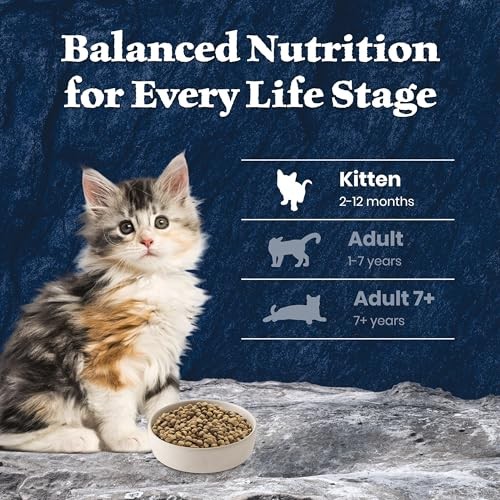 Blue Buffalo Wilderness High-Protein & Grain-Free Dry Food for Kittens, Natural Ingredients with DHA for Cognitive Development, Salmon Recipe, 5lb Bag thumbnail
