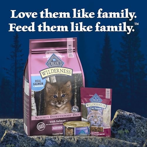 Blue Buffalo Wilderness High-Protein & Grain-Free Dry Food for Kittens, Natural Ingredients with DHA for Cognitive Development, Salmon Recipe, 5lb Bag thumbnail