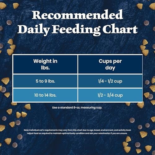 Blue Buffalo Wilderness High-Protein & Grain-Free Dry Food for Mature Adult Cats 7+, Made with Natural Ingredients, Salmon Recipe, 5lb Bag thumbnail