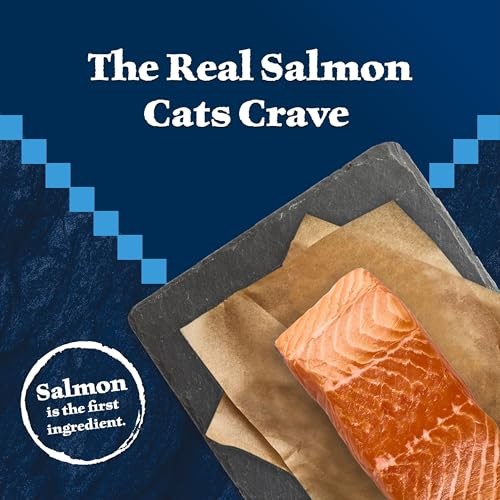 Blue Buffalo Wilderness High-Protein & Grain-Free Dry Food for Mature Adult Cats 7+, Made with Natural Ingredients, Salmon Recipe, 5lb Bag thumbnail