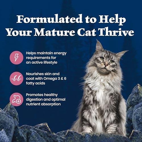 Blue Buffalo Wilderness High-Protein & Grain-Free Dry Food for Mature Adult Cats 7+, Made with Natural Ingredients, Salmon Recipe, 5lb Bag thumbnail