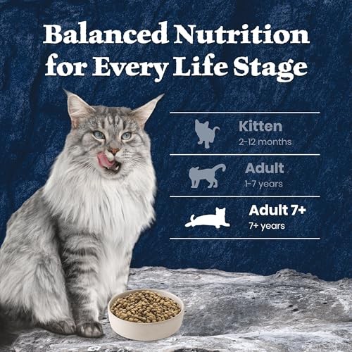 Blue Buffalo Wilderness High-Protein & Grain-Free Dry Food for Mature Adult Cats 7+, Made with Natural Ingredients, Salmon Recipe, 5lb Bag thumbnail