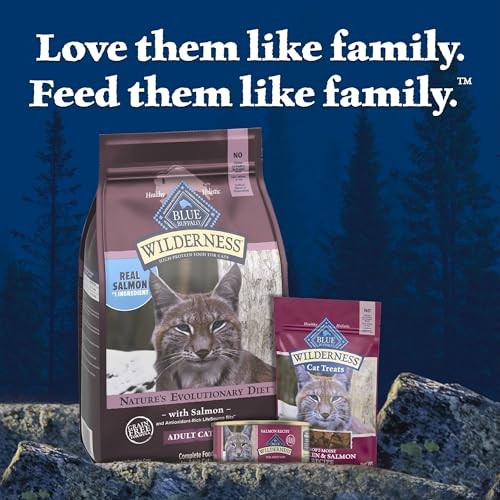 Blue Buffalo Wilderness High-Protein & Grain-Free Dry Food for Mature Adult Cats 7+, Made with Natural Ingredients, Salmon Recipe, 5lb Bag thumbnail