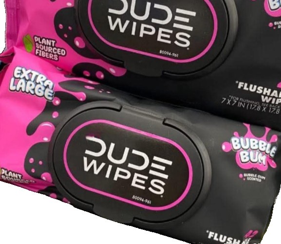 Lil' Dude Wipes Bubble Bum Flushable Wet Wipe for Kids Bubble Gum Scent 42 Count thumbnail