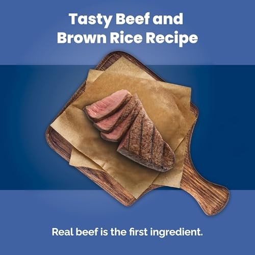 Blue Buffalo Life Protection Formula with LifeSource Bits, Senior 7+ Dry Dog Food, Beef and Brown Rice Recipe, Natural Food for Dogs, 5 Lb. Bag thumbnail
